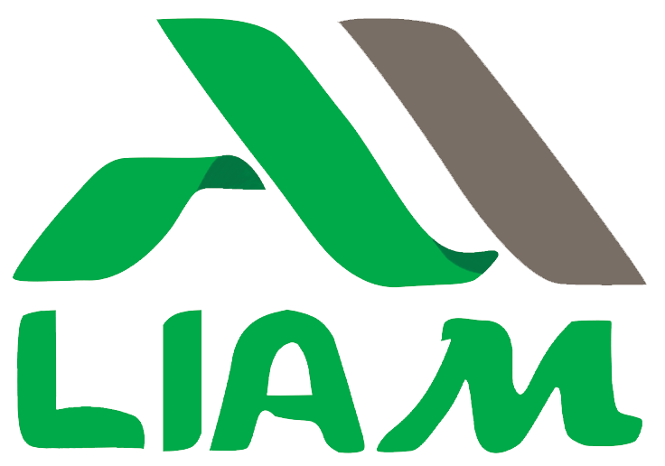 logo_liamwin
